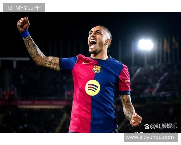 足球明星与娱乐明星的生活差异究竟有多大探讨与分析